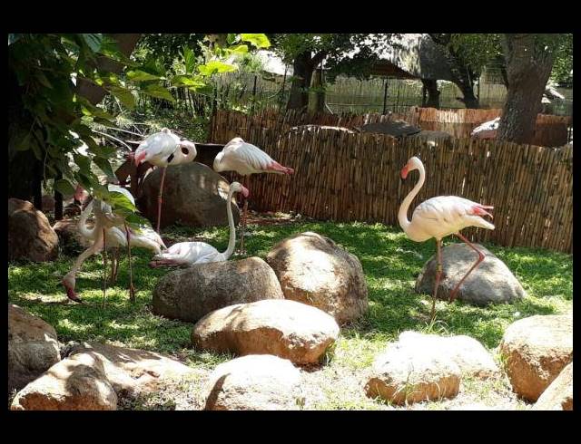 BUSINESS FOR SALE IN ROODEPLAAT DAM